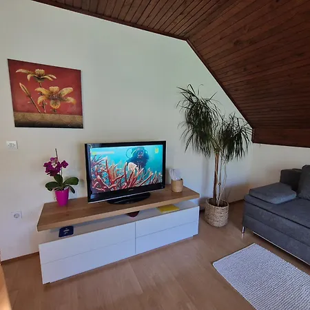 Apartma Marzic *
