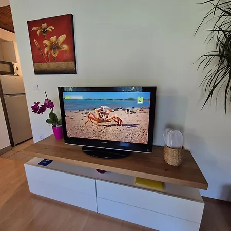 Apartma Marzic Kranjska Gora