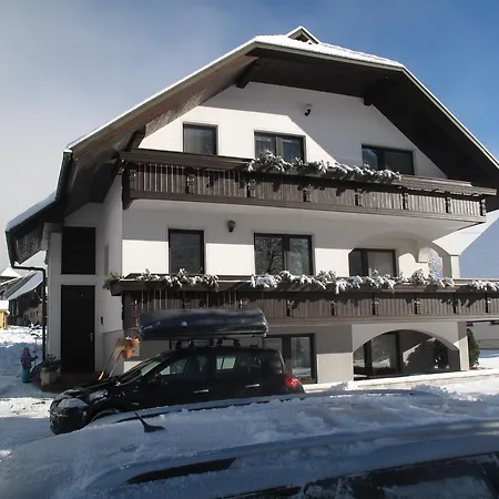 Apartma Marzic *