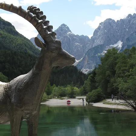 Apartmán Apartma Marzic Kranjska Gora