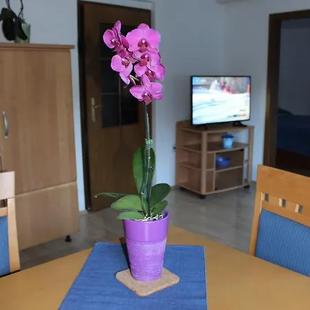 Apartma Marzic Kranjska Gora