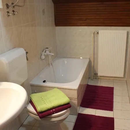 Apartma Marzic *