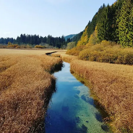 Apartmán Apartma Marzic