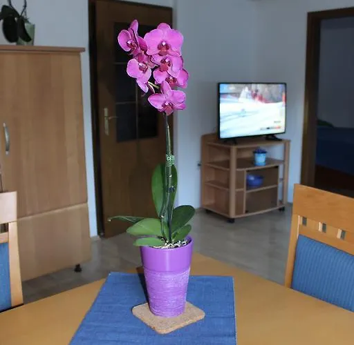 Apartma Marzic Kranjska Gora