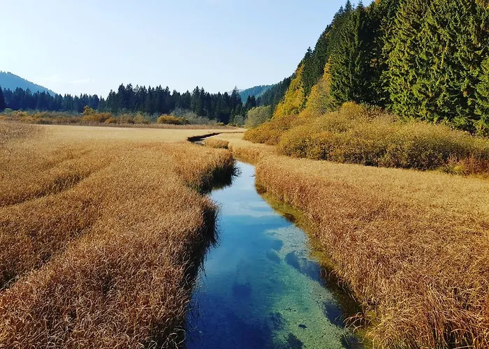 Lägenhet Apartma Marzic